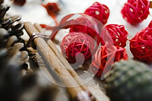 fir cones, wooden sticks, tangles of plastic cords