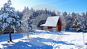 Fir evergreen forest and and little wooden house landscape in winter