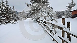 Fir evergreen forest and and little wooden house landscape in winter