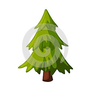 Fir Evergreen Tree, Christmas and New Year Symbol, Traditional Holiday Decoration Vector Illustration