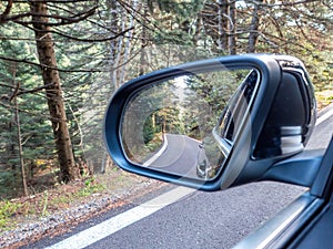 Fir forest and asphalt road in car rear side view mirror. Travel in the mountain