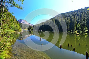 Fir forest and rock reflections in the Red lake / Lacul rosu.