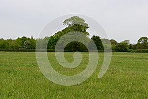 Fir Grove Airstrip, Penny`s Green by Long`s Wood near Wreningham, Norfolk, England, UK.