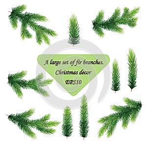 Fir isolated holiday decoration. Set of pine branches. Evergreen tree vector illustration.EPS 10 vector