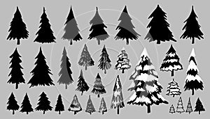 Fir or pine trees on gray background vector illustration