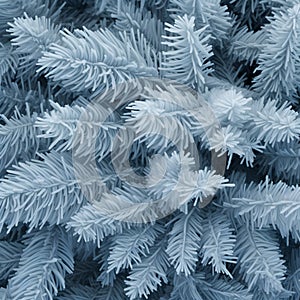 Fir and spruce branches covered with frost abstract background.