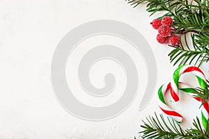 Fir tree branch with christmas berries and candy canes on wooden background with copy space