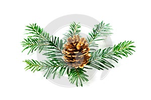 Fir tree branch and cones isolated on white background