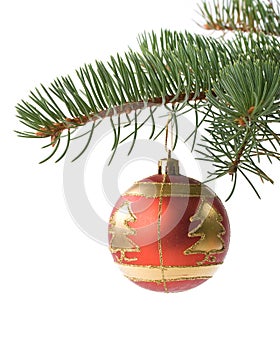 Fir tree branch with decoration