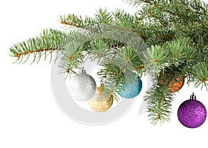 Fir tree branch with decoration