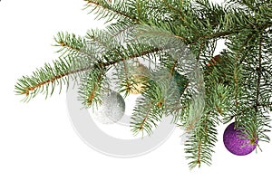 Fir tree branch with decoration