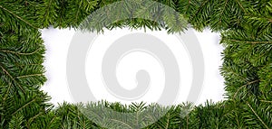 Fir tree branch frame on white