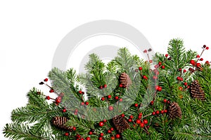 Fir tree branch frame on white