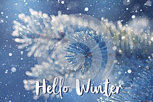 Fir tree branch in hoarfrost in blueness tones. Hello winter card photo