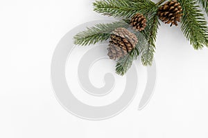 Fir tree branch and pine cones decoration on white paper.