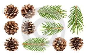 Fir tree branch and pine cones isolated on white background photo
