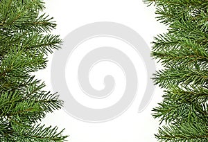 Fir tree branches, christmas decoration