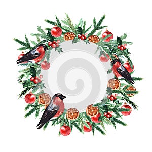 Fir tree branches round border with Christmas balls and bullfinches. Christmas and New year card, empty blank. Watercolor.