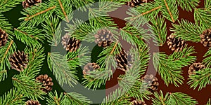 Fir tree branches seamless pattern, pine branch, Christmas conifer background