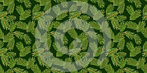 Fir tree branches seamless pattern, pine branch, Christmas conifer isolated on green background