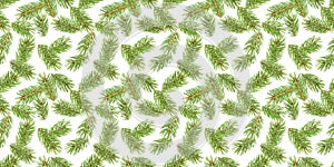 Fir tree branches seamless pattern, pine branch, Christmas conifer isolated on white background