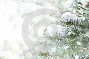 Fir tree branches in snow with defocus lights