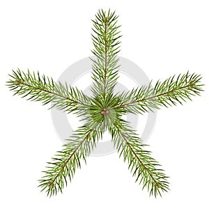 Fir Tree Branches - Star Shaped Abstract Vector Illustration