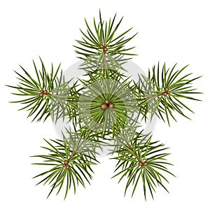 Fir Tree Branches - Star Shaped Abstract Vector Illustration