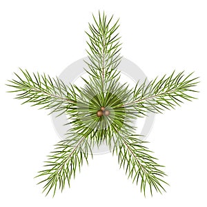 Fir Tree Branches - Star Shaped Abstract Vector Illustration