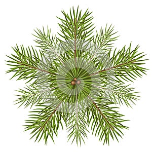 Fir Tree Branches - Star Shaped Abstract Vector Illustration