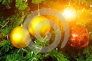 Fir tree in chirstmas festivals with flares light and balls background