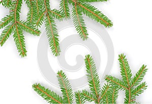 Fir tree - christmas - background