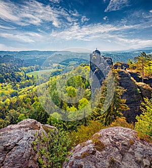 Fir tree on the edge of sandstone cliff in Saxon Switzerland National Park.