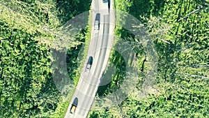 Fir tree forest and European rural car road