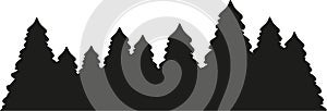 Fir tree forest silhouette