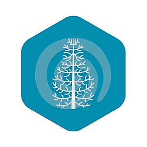 Fir tree icon, simple style