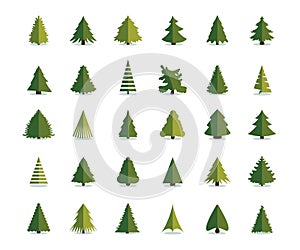 Fir tree icon vector illustration. Christmas trees set. Pine flat modern design