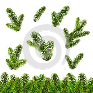 Fir Tree Isolated Isolated White Background