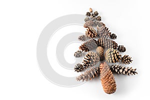 Fir-tree made of cones various coniferous trees isolated on white, view from above. Free copy space.