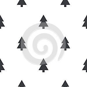 Fir tree pattern. Vector seamless pattern, Fir texture. Tree background. Winter ornament. Wrap design