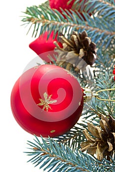 Fir tree and red christmas ball