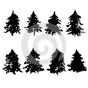 Fir tree silhouettes. Black grunge Christmas tree. Watercolor spruce isolated on white background. Vector illustration.