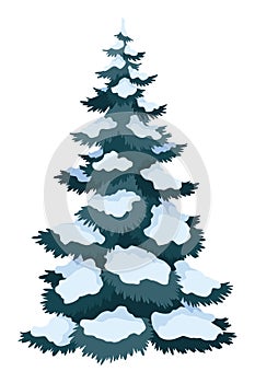 Fir tree with snow. Winter snow-covered spruce. Green fluffy pine isolated on white background