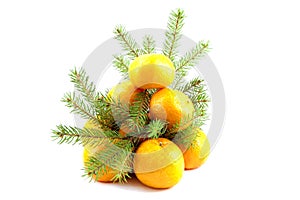 Fir-tree from tangerine with green branches