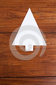 Fir tree on wood, copy space