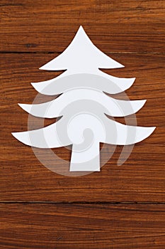 Fir tree on wood, copy space
