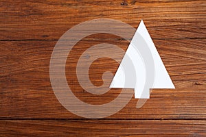 Fir tree on wood, copy space