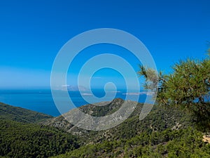 Fir trees, bushes and hilly landscape. Rhodes Island, Greece.