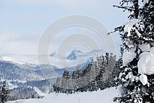 Fir trees covered with snow on the background of Sayan mountain range . Winter forest. Top view.