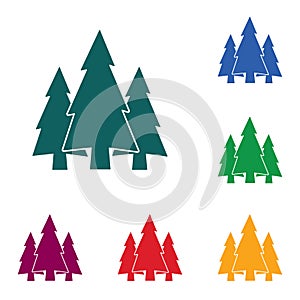 Fir Trees forest icon